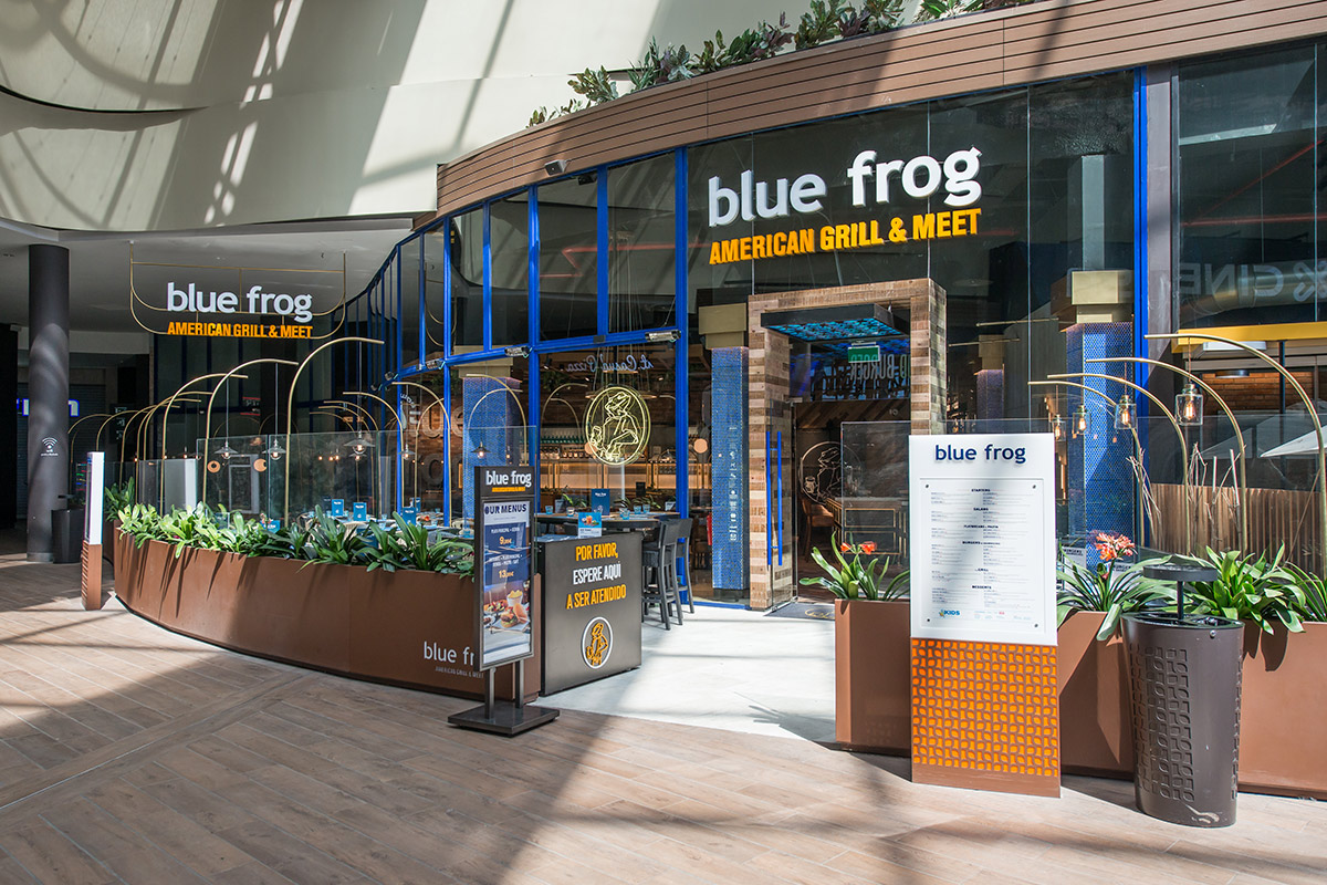 photo-shoot-blue-frog-2